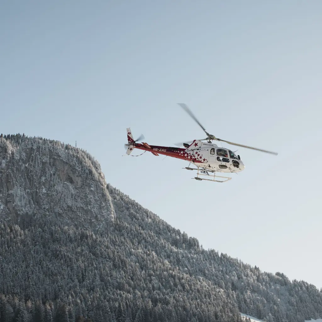 CR5A6368 QUADRAT.webp